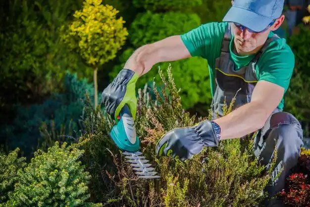 landscaping services Burkesville